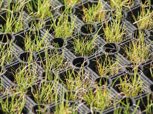 SafaGrass 23mm Hollow Ring Rubber Grass Mat (1m x 1.5m)