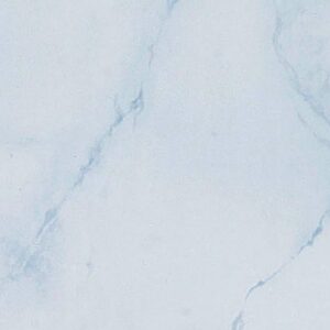 Blue Marble - Neptune 250 - PVC Wall Panels 250mm (4 Pack)