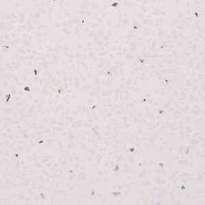 White Sparkle 1m wide - Neptune 1000 - PVC Wall Panel - 1m - (Single Pack)