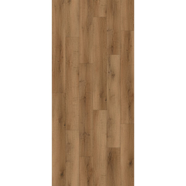Sample- Akron Teak Plank - Image 2