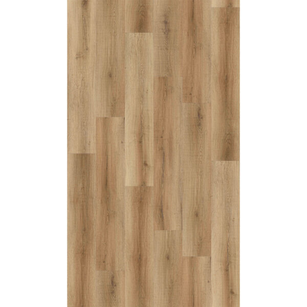 Sample- Buffalo XL Plank - Image 2
