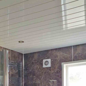 Ceiling Panels